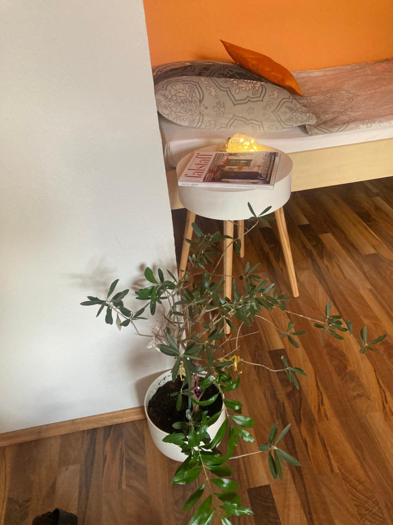 Villa Brunegg Leoben Goess מראה חיצוני תמונה